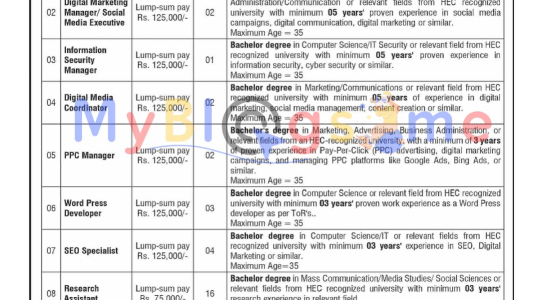 Ministry of Information and Broadcasting Jobs 2024